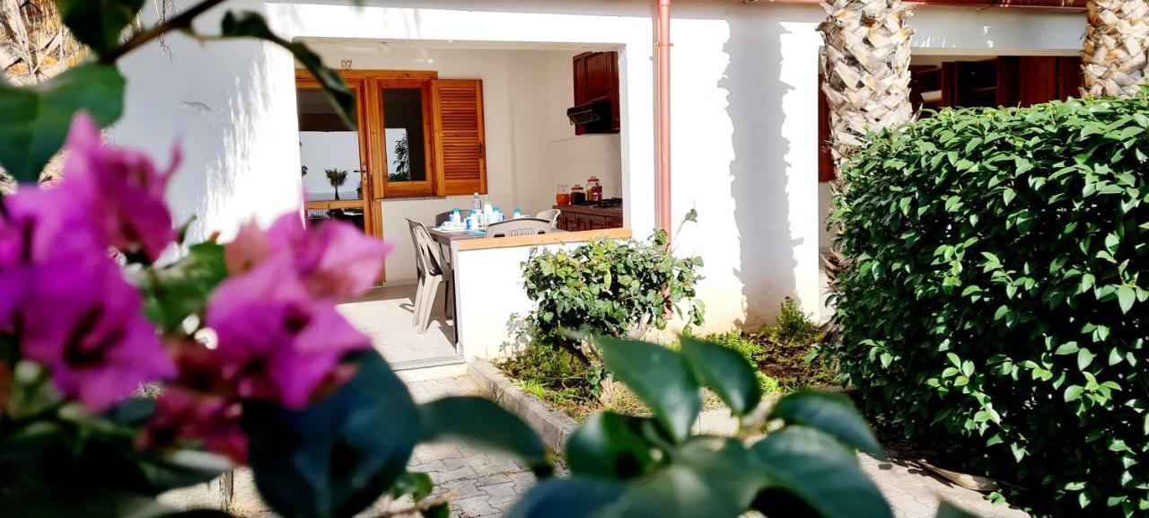 Ninfa Sul Mare Apartments 50 M E T R I Dal Mare Best Breakfast And Free Parking Capo Vaticano Exterior photo