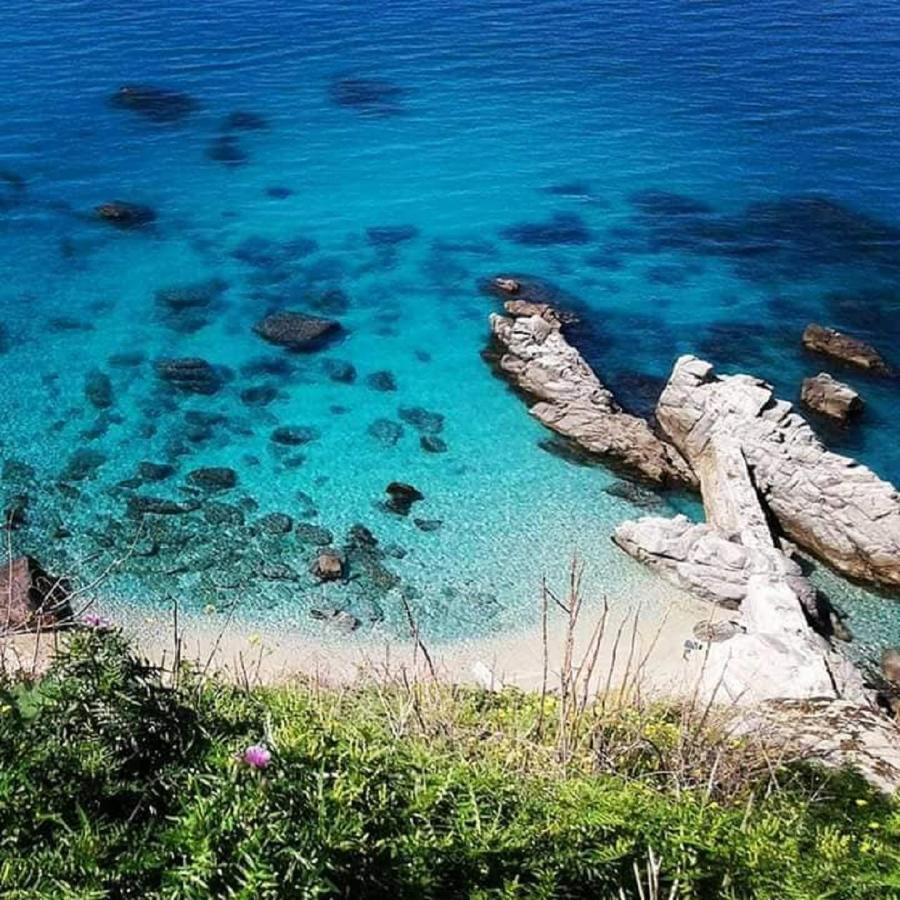 Ninfa Sul Mare Apartments 50 M E T R I Dal Mare Best Breakfast And Free Parking Capo Vaticano Exterior photo