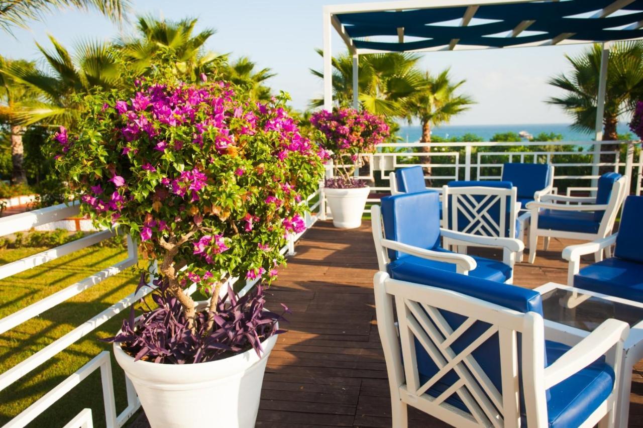 Ninfa Sul Mare Apartments 50 M E T R I Dal Mare Best Breakfast And Free Parking Capo Vaticano Exterior photo